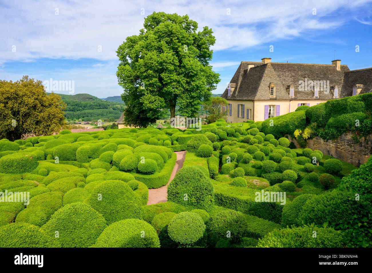 I giardini Marqueyssac, Vézac, Dordogne, Francia. Foto Stock