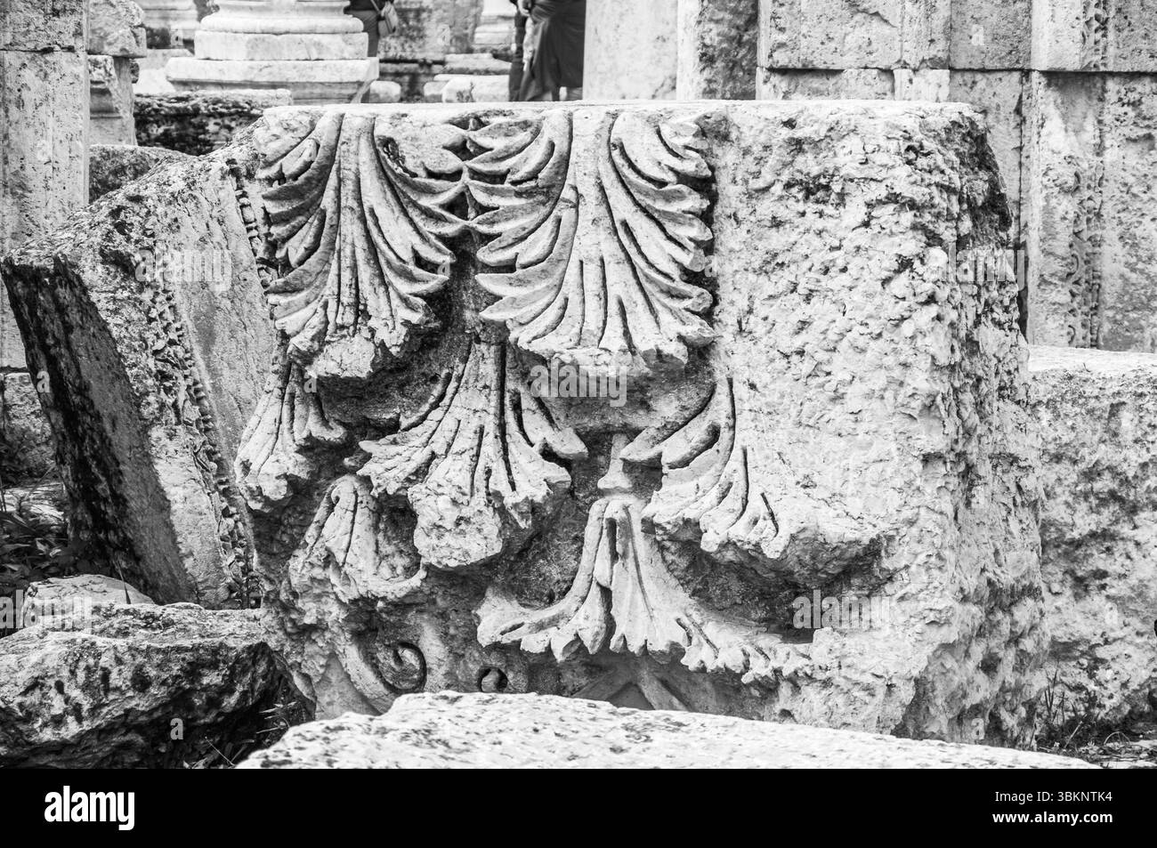 Una scultura in pietra di un disegno a foglia si trova su una lastra di pietra. L'intaglio è molto dettagliato e intricato, con molte piccole foglie e rami. Lo sla di pietra Foto Stock