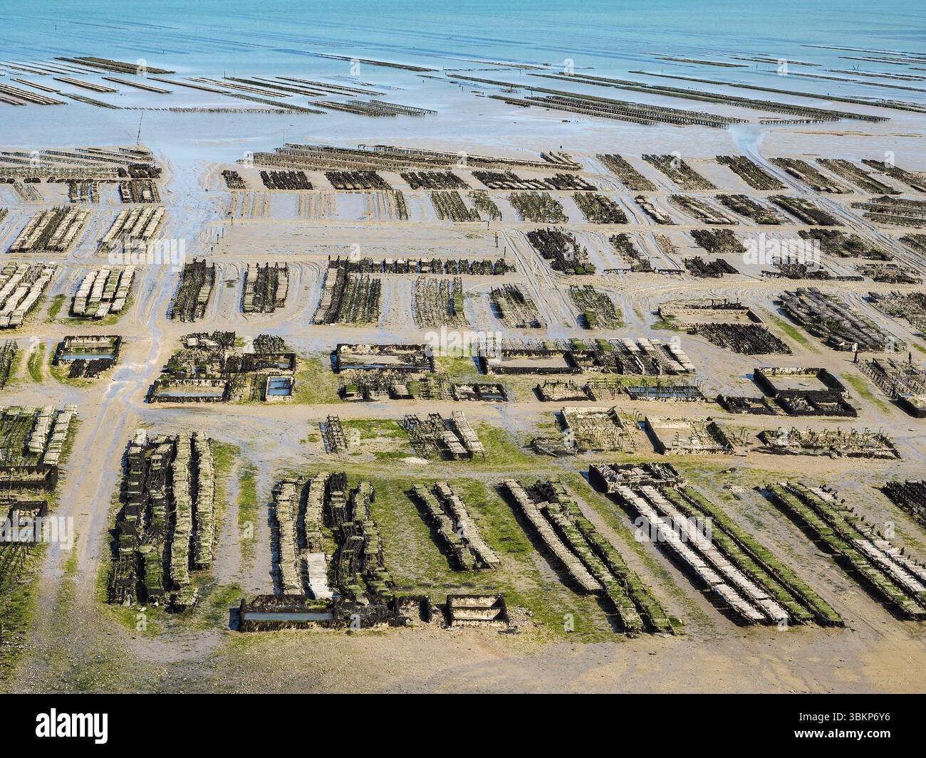 Vista aerea delle tradizionali fattorie di ostriche durante la bassa marea a Cancale, Bretagna, Francia, con motivi geometrici di file e piscine lungo la costa. Foto Stock