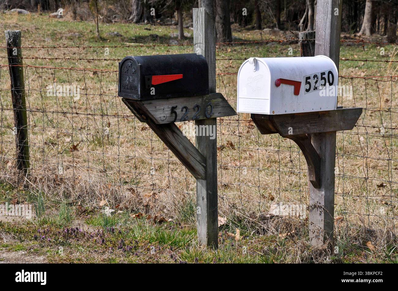 Cassette postali su una strada rurale. Foto Stock