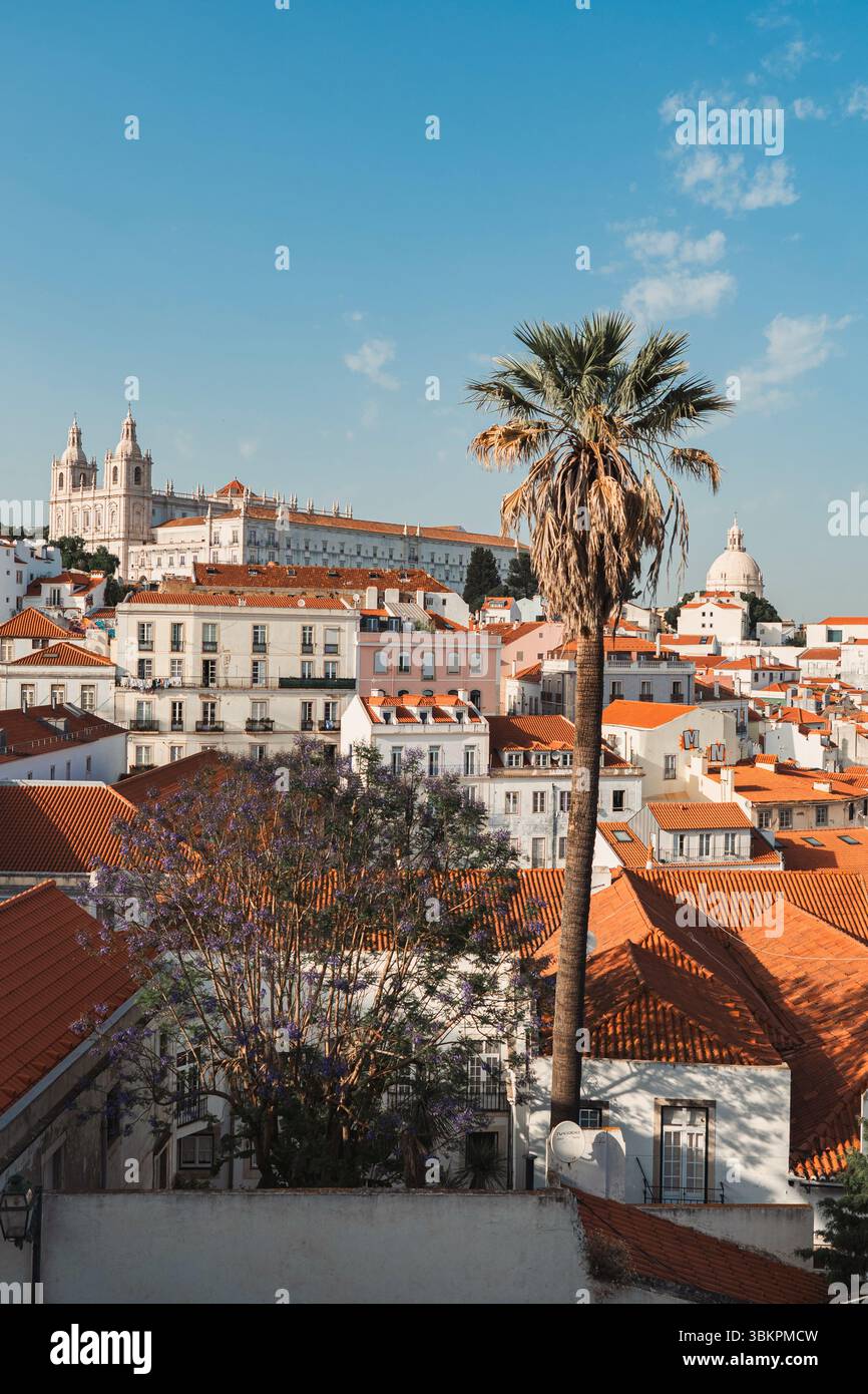 Splendida vista panoramica dei tetti rossi, delle palme e dell'architettura storica di Lisbona, perfetta per l'ispirazione di viaggio, la promozione turistica o lo sfondo urbano. Foto Stock