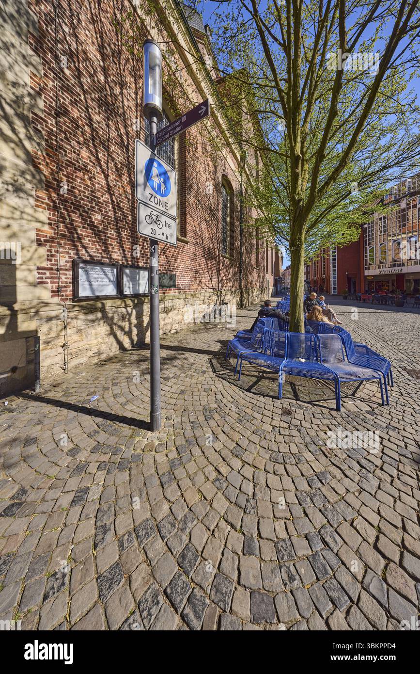Zona pedonale, segnaletica stradale, panchine, alberi, mattoni, facciata, persone sedute come motivo secondario, cielo azzurro senza nuvole, Salzstrasse, Muenster, M Foto Stock