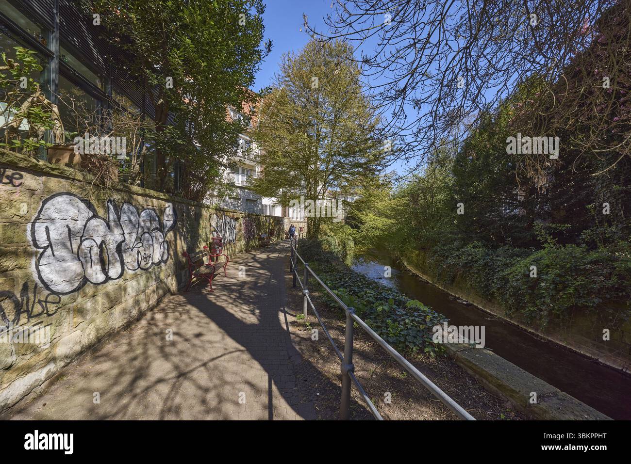 Sentiero, parete in arenaria, graffiti, ringhiera metallica, fiume Muenstersche AA, alberi, cespugli, ombra, cielo azzurro senza nuvole, Schwester-Laudeberta-Weg, Muenste Foto Stock