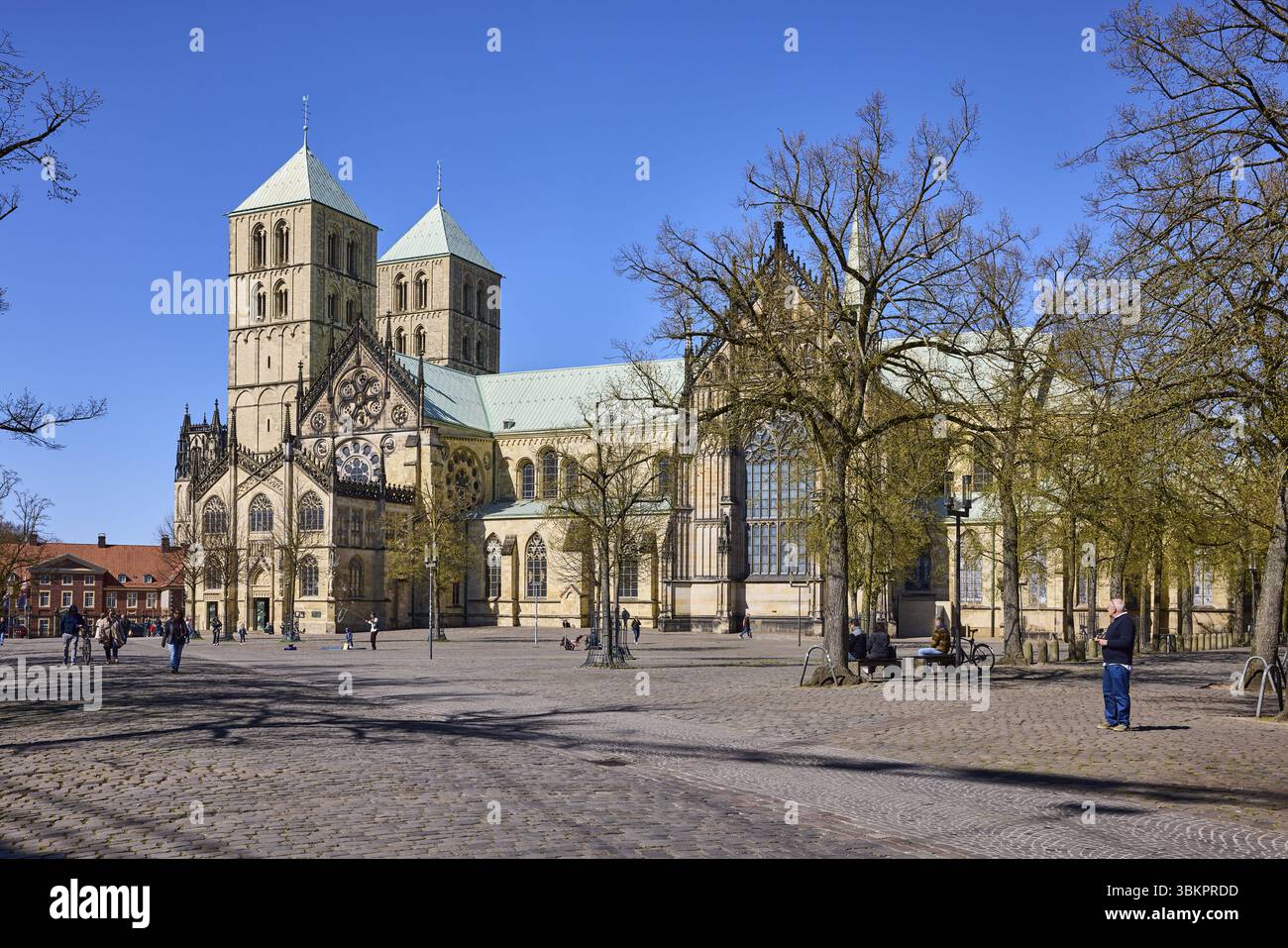 Cattedrale di San Paolo, città vecchia, cattedrale, stile architettonico romanico e gotico, alberi, pedoni come motivo secondario, piazza, cielo azzurro senza nuvole Foto Stock