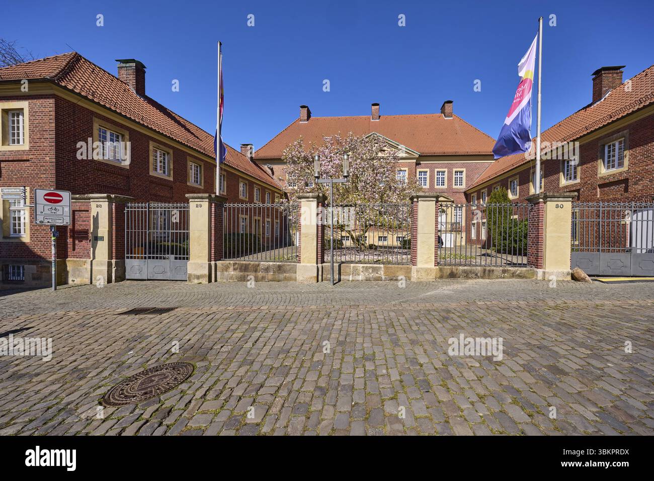 Amministrazione della cattedrale, edificio in mattoni, albero, marciapiede acciottolato, bandiere su paletti, cielo azzurro senza nuvole, piazza della cattedrale, Muenster, Muensterland Foto Stock