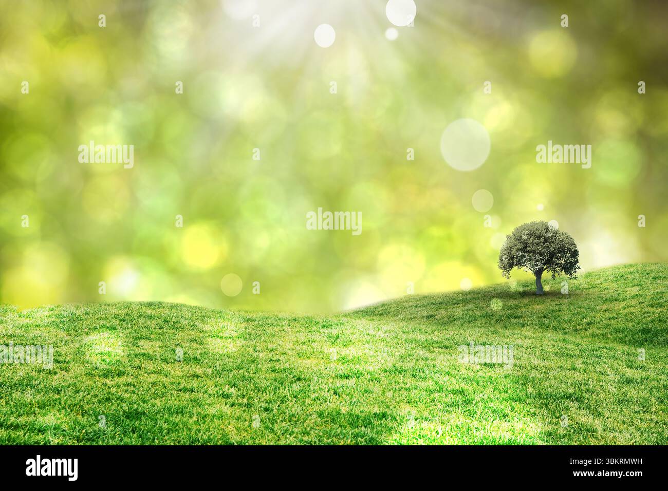 Contro le luci accese Foto Stock