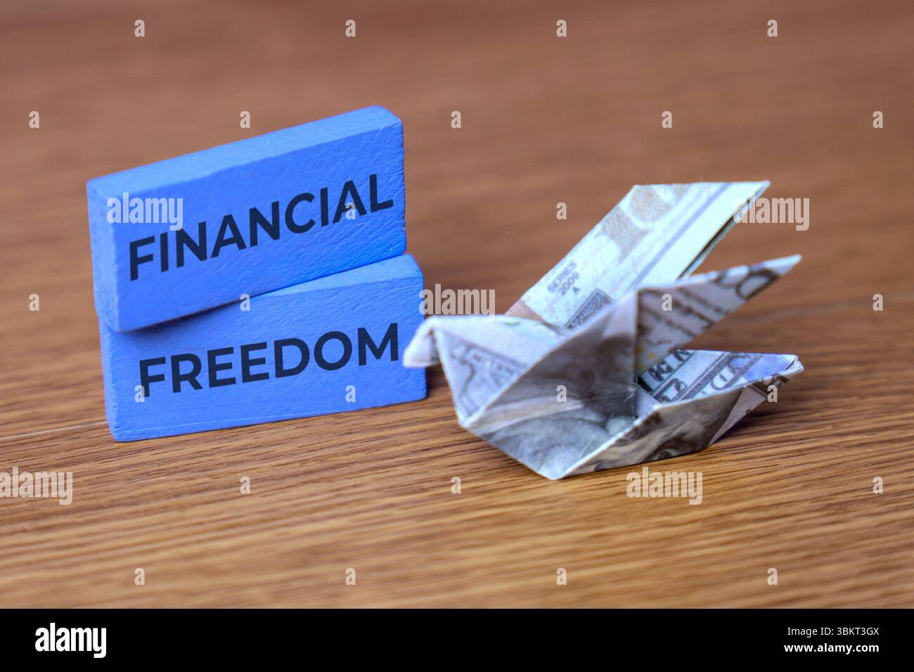Due blocchi di legno blu con il testo "LIBERTÀ FINANZIARIA" accanto a un uccello origami piegati da una banconota da un dollaro statunitense. Libertà finanziaria, stabilità economica Foto Stock
