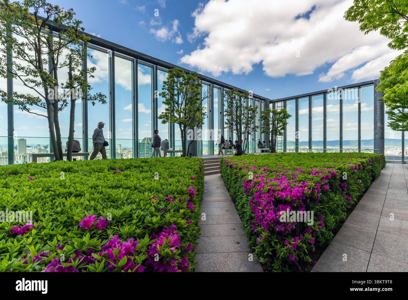 osservatorio al 16° piano dell'edificio Abeno Harukas ad Osaka, Giappone. Foto Stock