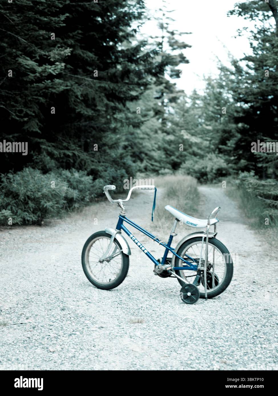 una vecchia bici, riposante Foto Stock