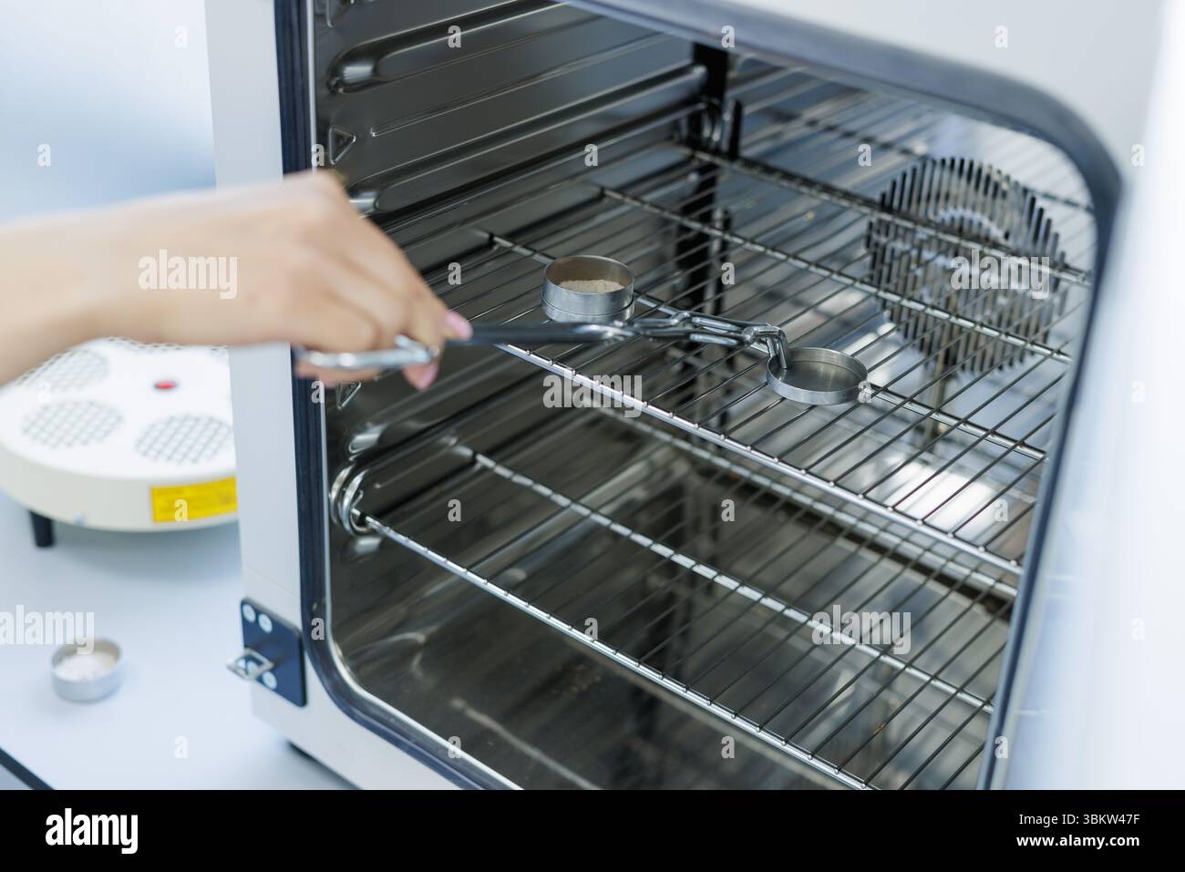 Lo scienziato colloca i campioni in un forno da laboratorio per l'analisi, il controllo qualità e la ricerca nei laboratori scientifici e industriali. Foto Stock