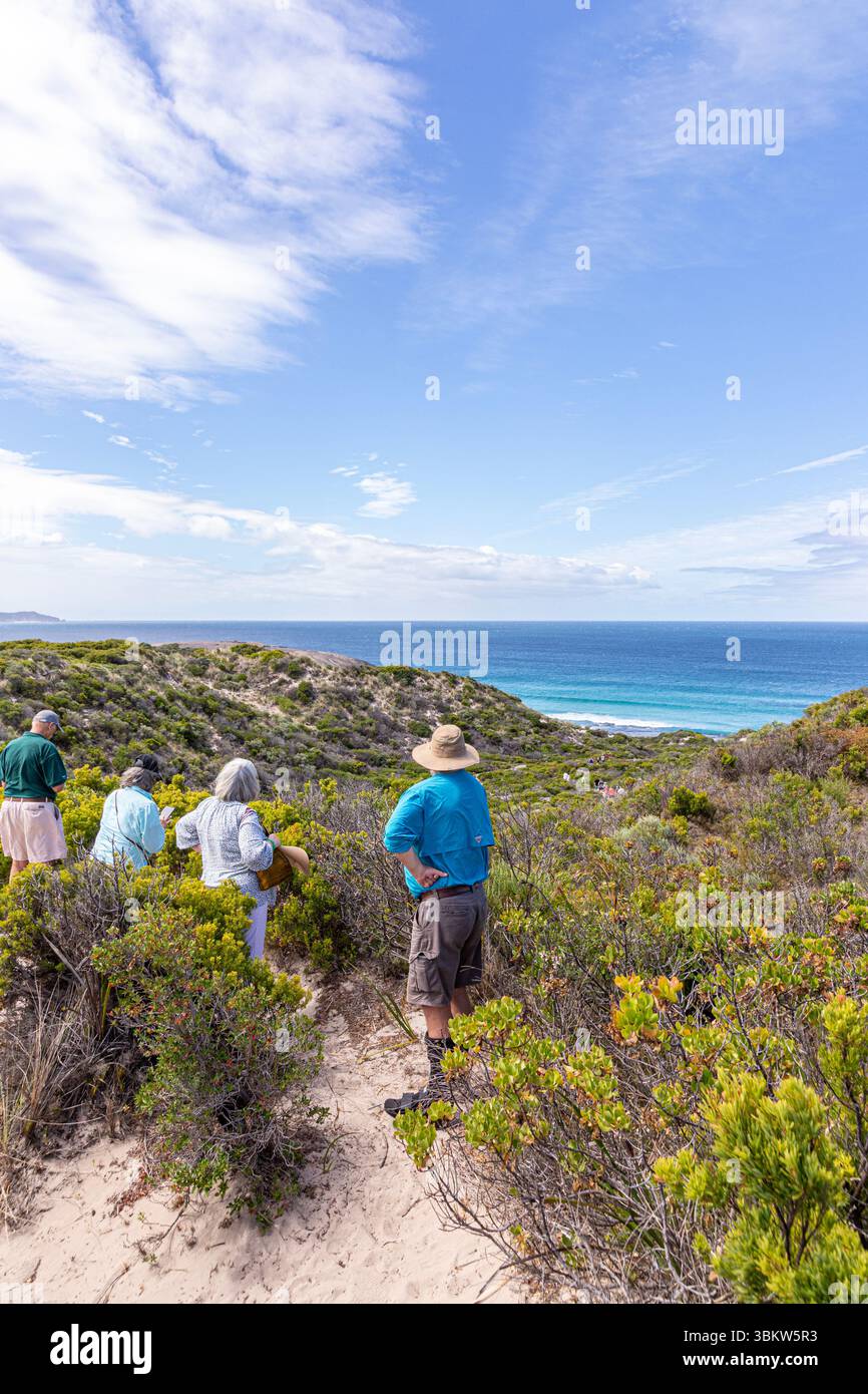 Shelly Beach dall'oceano meridionale vista dalla collina sopra dalla costa meridionale della Nornalup Inlet nel Walpole-Nornalup National Park, Washington Foto Stock