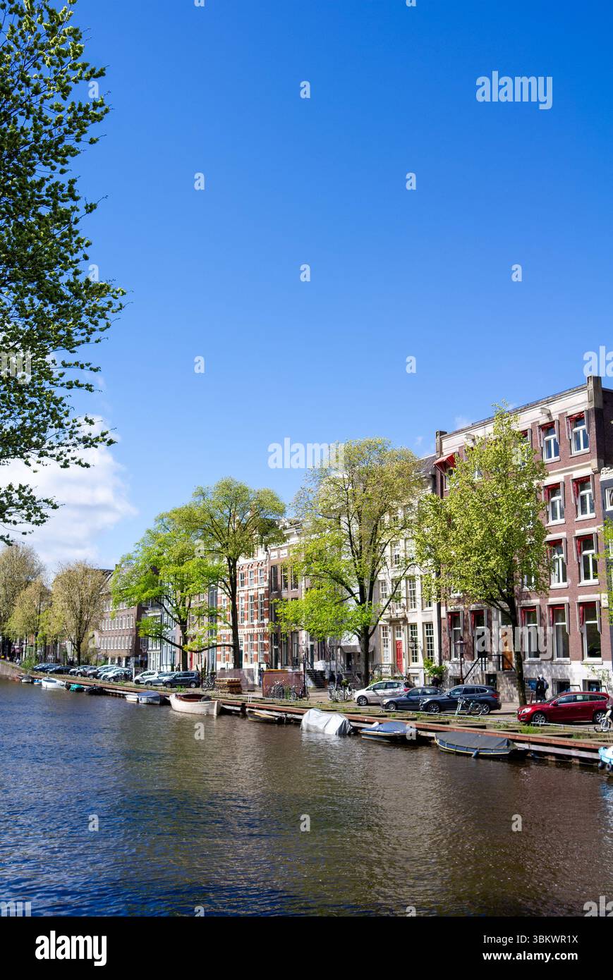 Le persone camminano lungo un soleggiato canale di Amsterdam fiancheggiato da edifici storici, alberi, barche, automobili e biciclette in una splendida giornata primaverile. Foto Stock