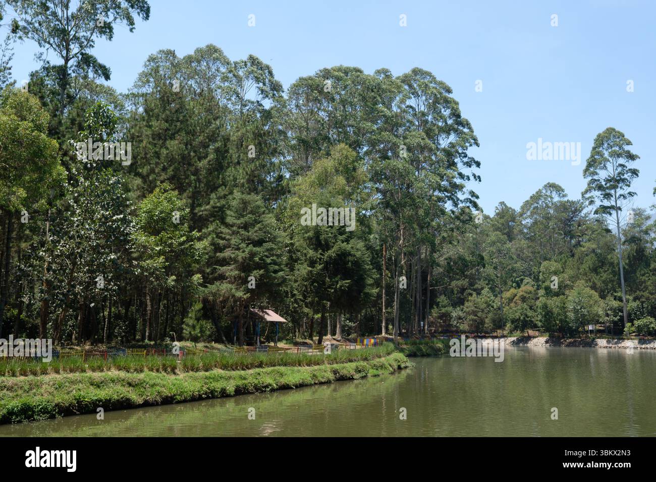 Lago in un parco con alberi alti, un piccolo riparo e una recinzione colorata lungo la riva. Foto Stock