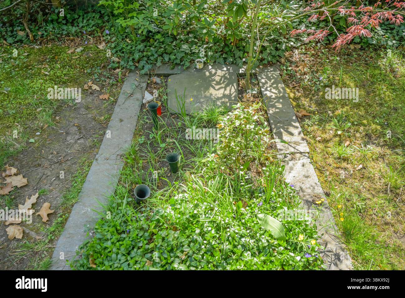 Grab Terroristin Ulrike Meinhof, Friedhof der Dreifaltigkeitsgemeinde, Dreifaltigkeitsfriedhof III, Eisenacher Straße, Tempelhof, Bezirk Tempelhof-Schöneberg, Berlino, Deutschland *** tomba del terrorista Ulrike Meinhof, cimitero Dreifaltigkeitsgemeinde, Dreifaltigkeitsfriedhof III, Eisenacher Straße, Tempelhof, quartiere Tempelhof Schöneberg, Berlino, Germania Foto Stock