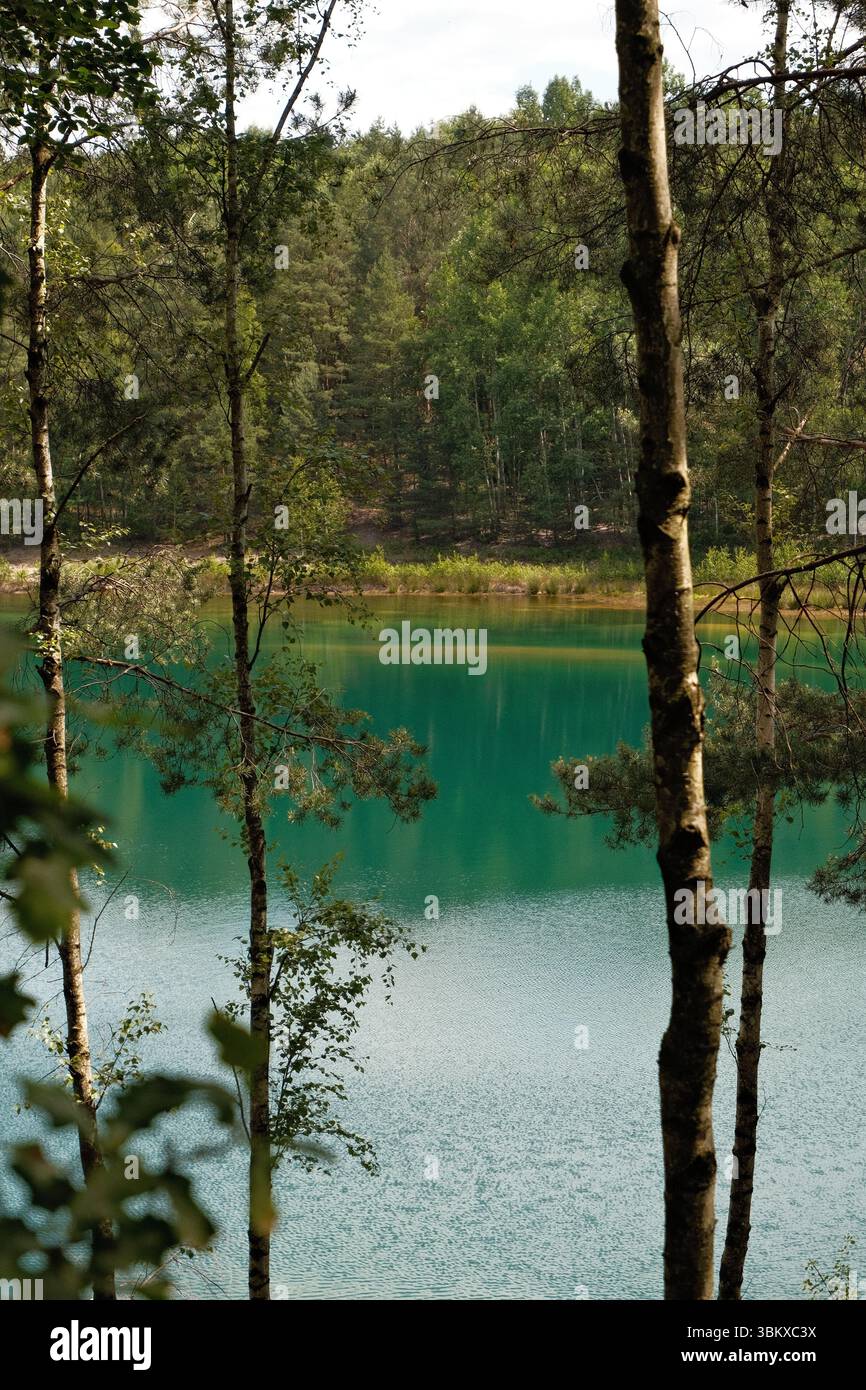 Foresta verde e lago blu Foto Stock