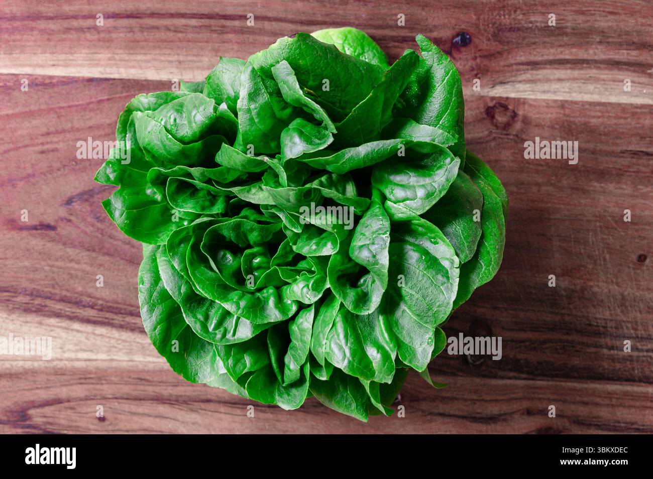 Vista dall'alto di una testa di lattuga verde su un tagliere di legno Foto Stock