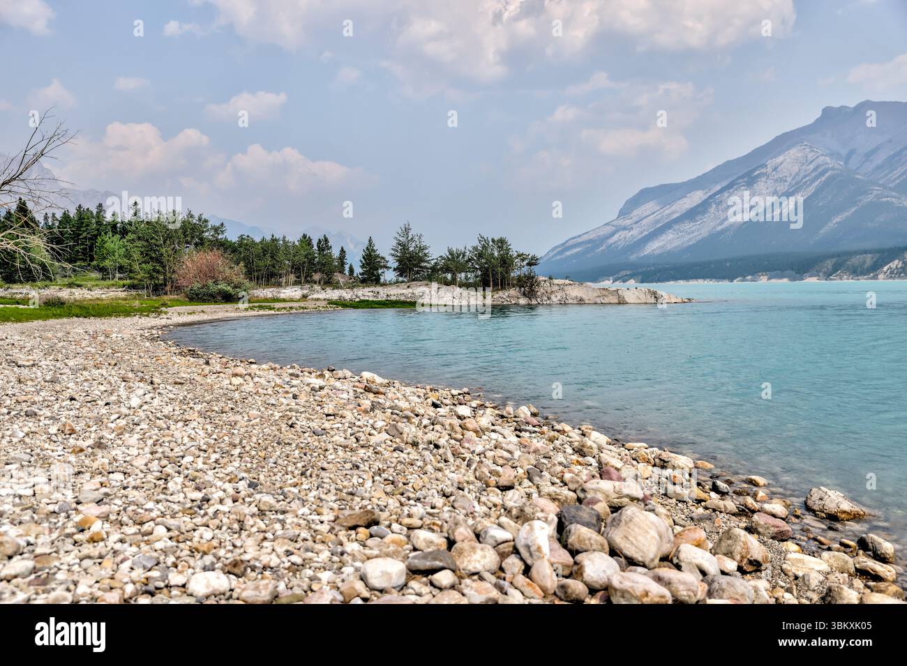 Paesaggi lungo le rive del lago Abraham nel David Thompson Park nelle Montagne Rocciose dell'Alberta Foto Stock