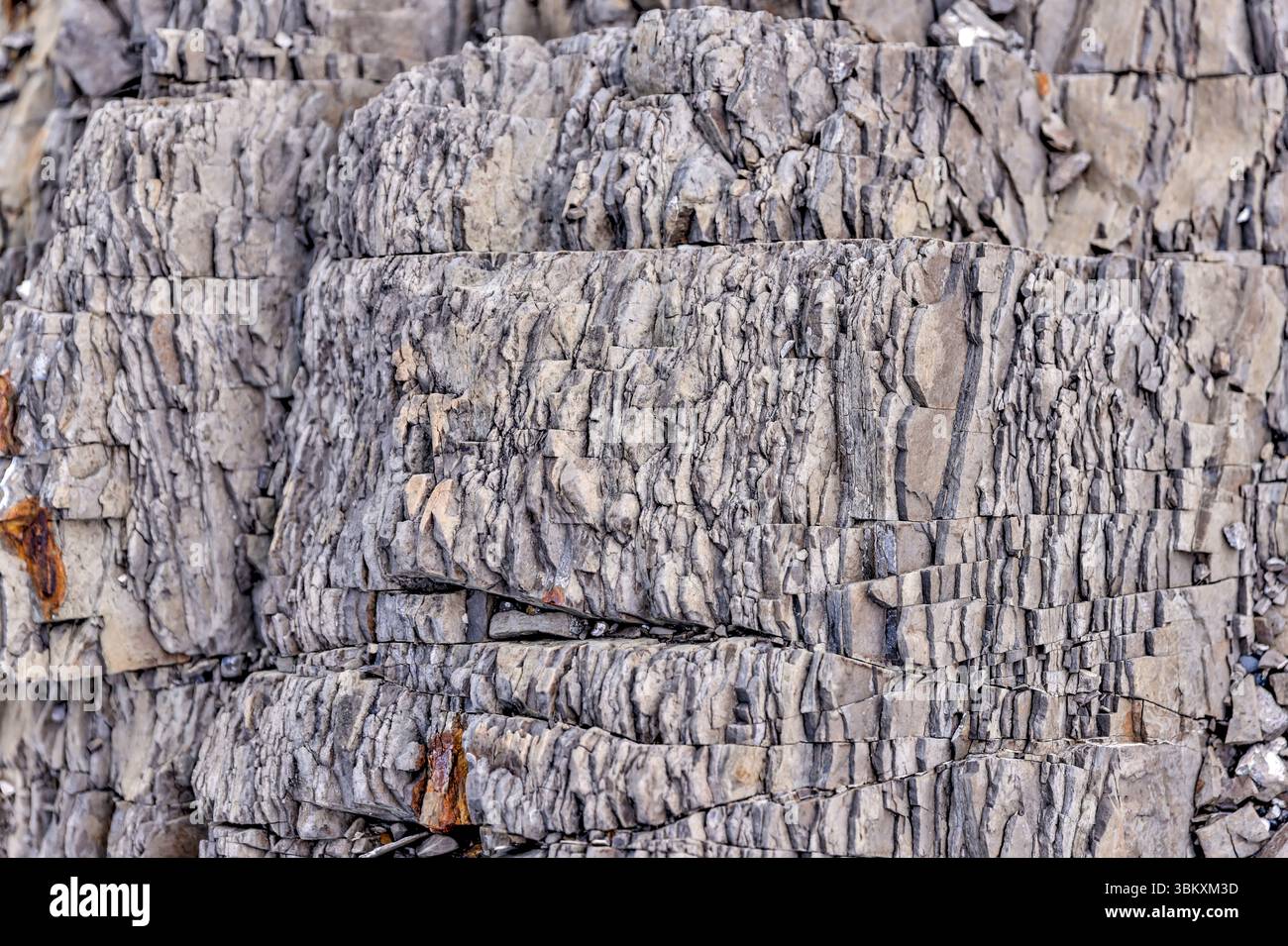 Paesaggi lungo le rive del lago Abraham nel David Thompson Park nelle Montagne Rocciose dell'Alberta Foto Stock