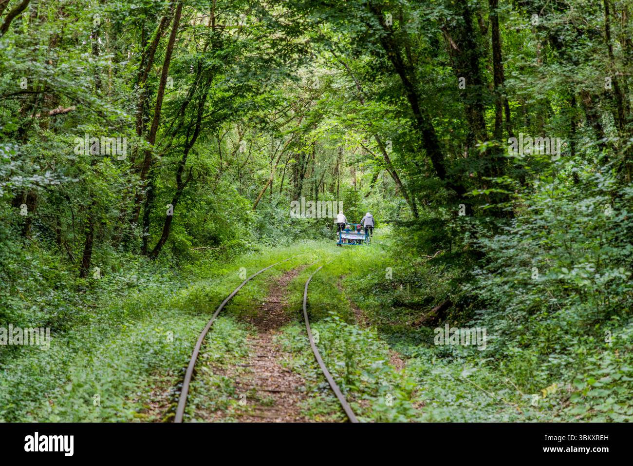 Due persone su un autocarro Vélorail viaggiano attraverso una sezione di bosco, la sua tettoia formata da alberi decidui, lungo la linea ferroviaria in disuso vicino a Chauvigny (Nouvelle-Aquitaine, Francia). I binari sono circondati da erba e bassa vegetazione; il percorso non sembra più una struttura ingegneristica. Velorail è un tipo di ferrovia per biciclette che può essere utilizzata per escursioni in vari luoghi della Francia. Rue de Bellevue, Chauvigny, Nouvelle-Aquitaine, Francia Foto Stock