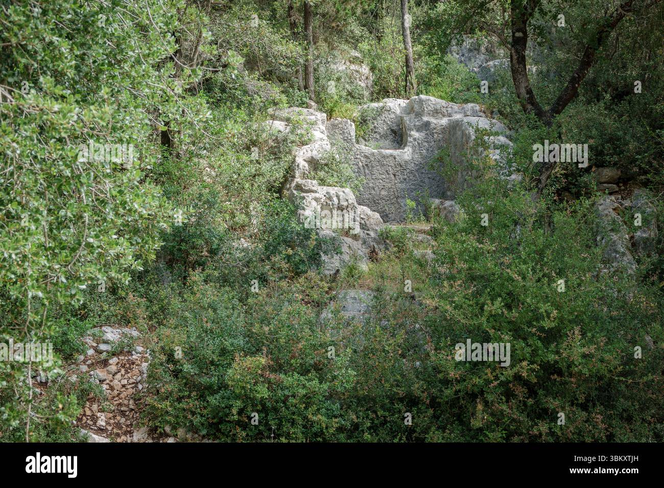Una sezione del "Trono della Regina di Fiscardo" sul Battery Trail Foto Stock