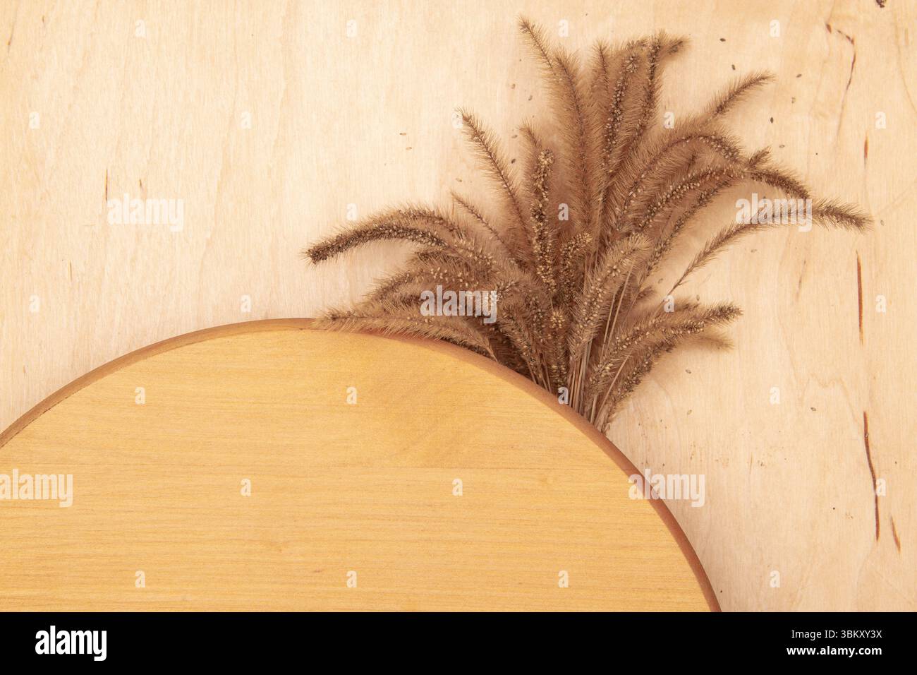 Morbidi spikelets decorativi su sfondo in legno con spazio per copie. Biglietto d'auguri dal fascino rustico e dall'erba delicata. Foto Stock