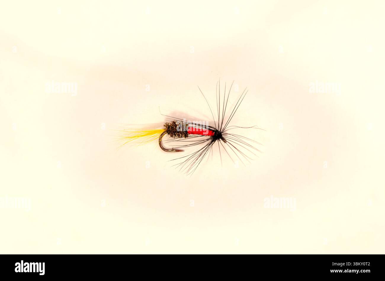 Una mosca di trote Royal Coachman su sfondo bianco Foto Stock