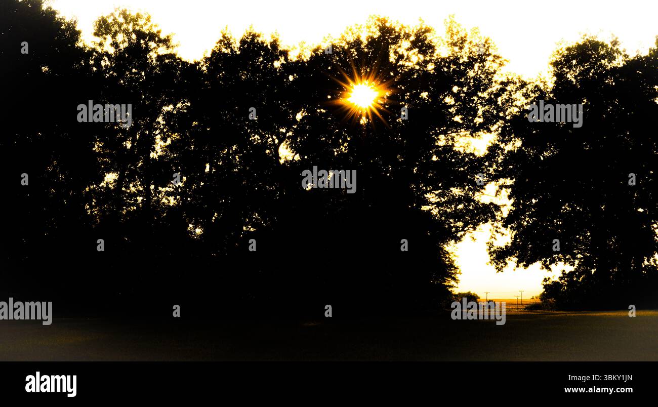 Caldo tramonto estivo e asciutto nella zona di Polabi vicino al villaggio di Olesko Foto Stock