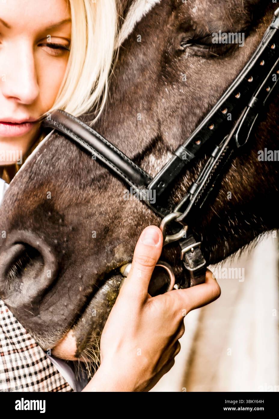 Una donna tiene dolcemente la briglia di un cavallo, con il viso vicino alla testa del cavallo. Foto Stock