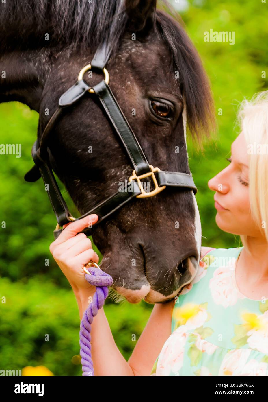 Una donna sta toccando delicatamente la faccia di un cavallo, tenendo la sua corda di piombo. Foto Stock