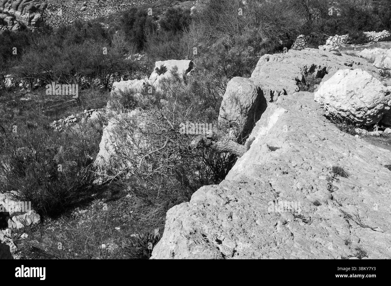 Una collina rocciosa con un albero che cresce da una crepa nella roccia. L'immagine ha uno stato d'animo di solitudine e isolamento Foto Stock