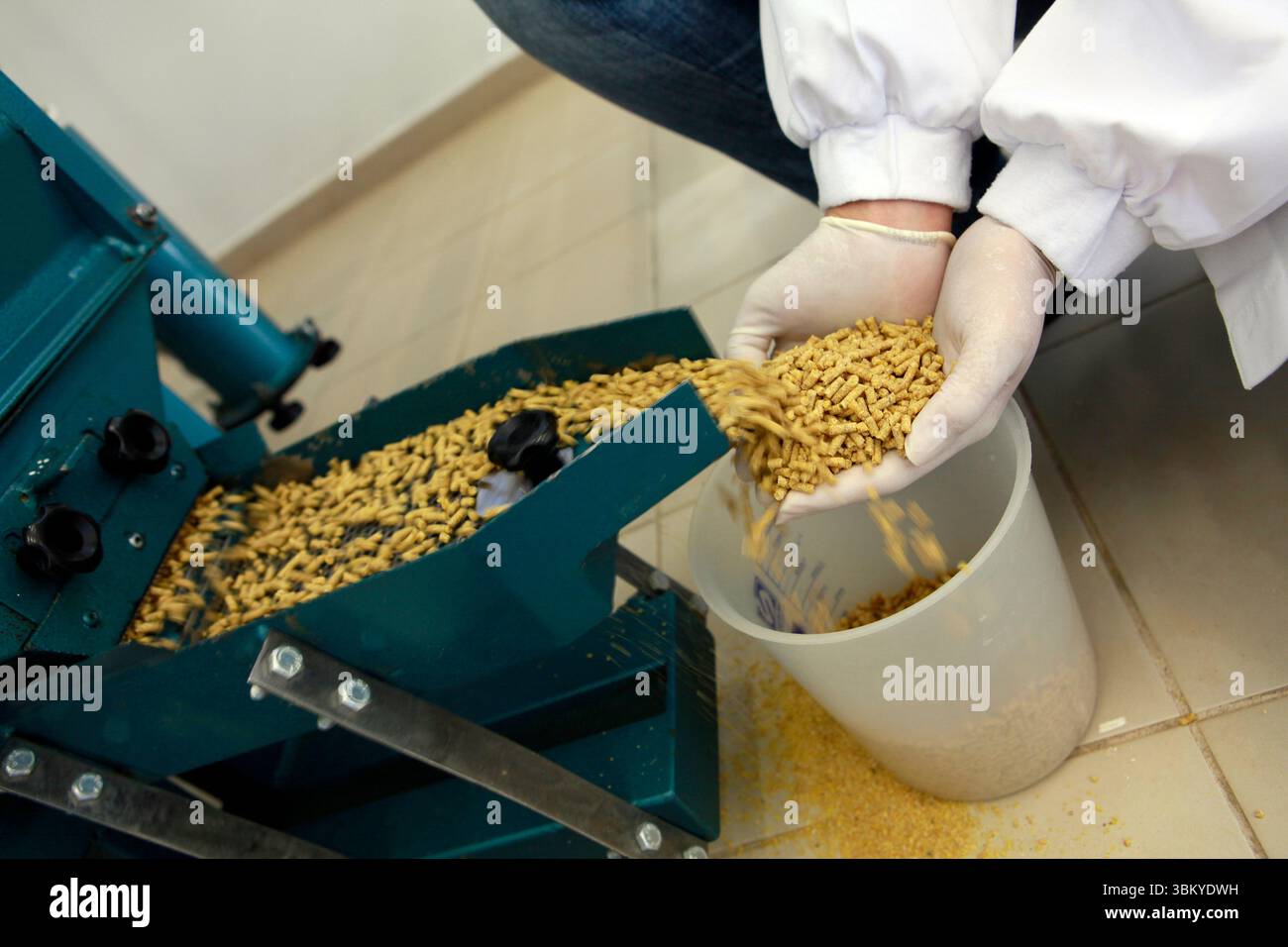 dettaglio dell’industria dei mangimi per animali nel settore dei cereali Foto Stock