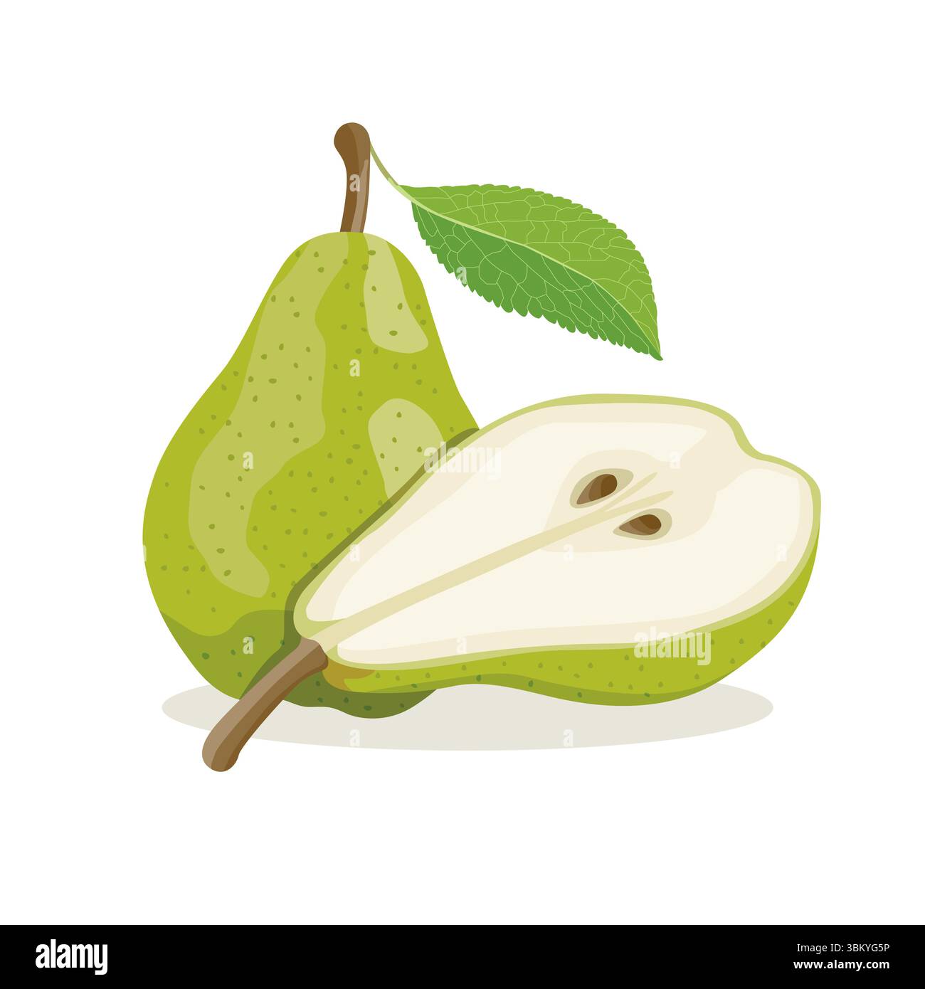 Immagine vettoriale della pera verde isolata su sfondo bianco Illustrazione Vettoriale