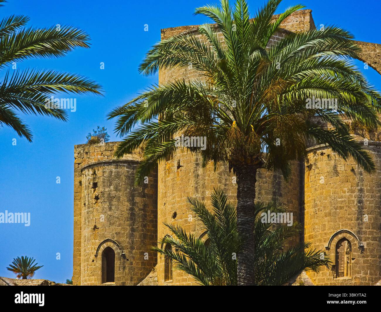 Chiesa di San Giorgio dei Greci incorniciata da palme Famagosta Cipro 2025-06-13 Foto Stock