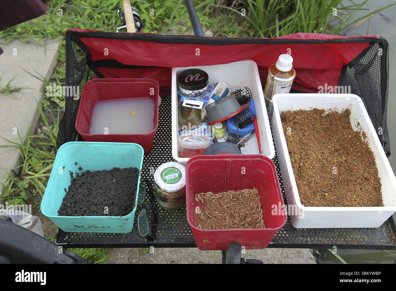 Attrezzatura da pesca, Bait, Ungheria meridionale, Ungheria, Ungheria meridionale, Ungheria, Europa Foto Stock