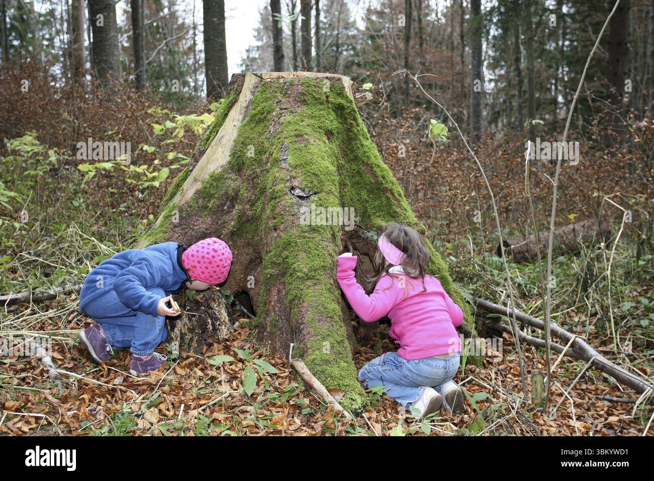 Ragazze alla scoperta della natura, bambini nella natura, amore per la natura, Allgaeu, Baviera, Germania, Allgaeu, Baviera, Germania, Europa Foto Stock