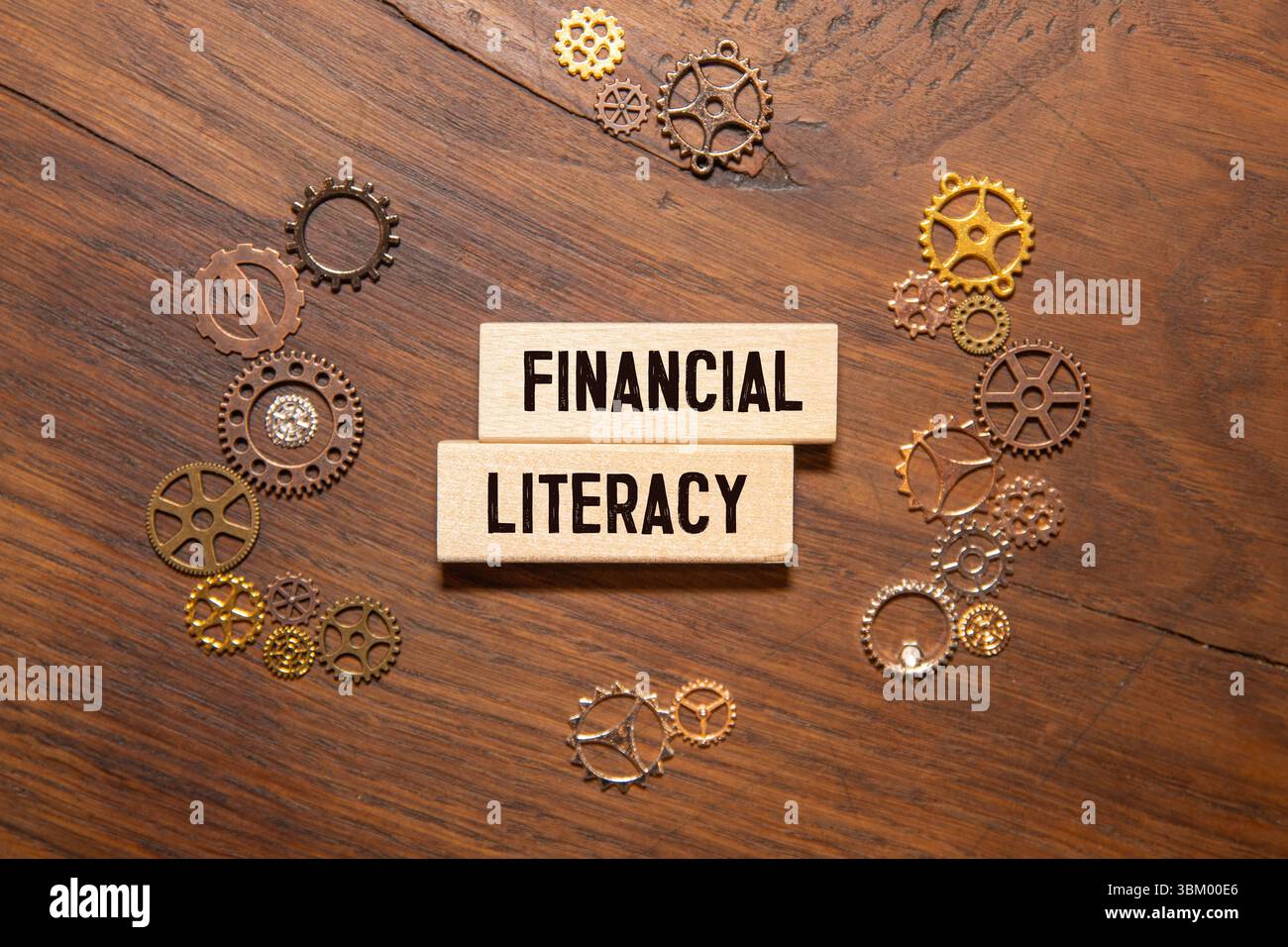 Frase alfabetizzazione finanziaria con lettere verdi. Concetto di apprendimento. Foto Stock
