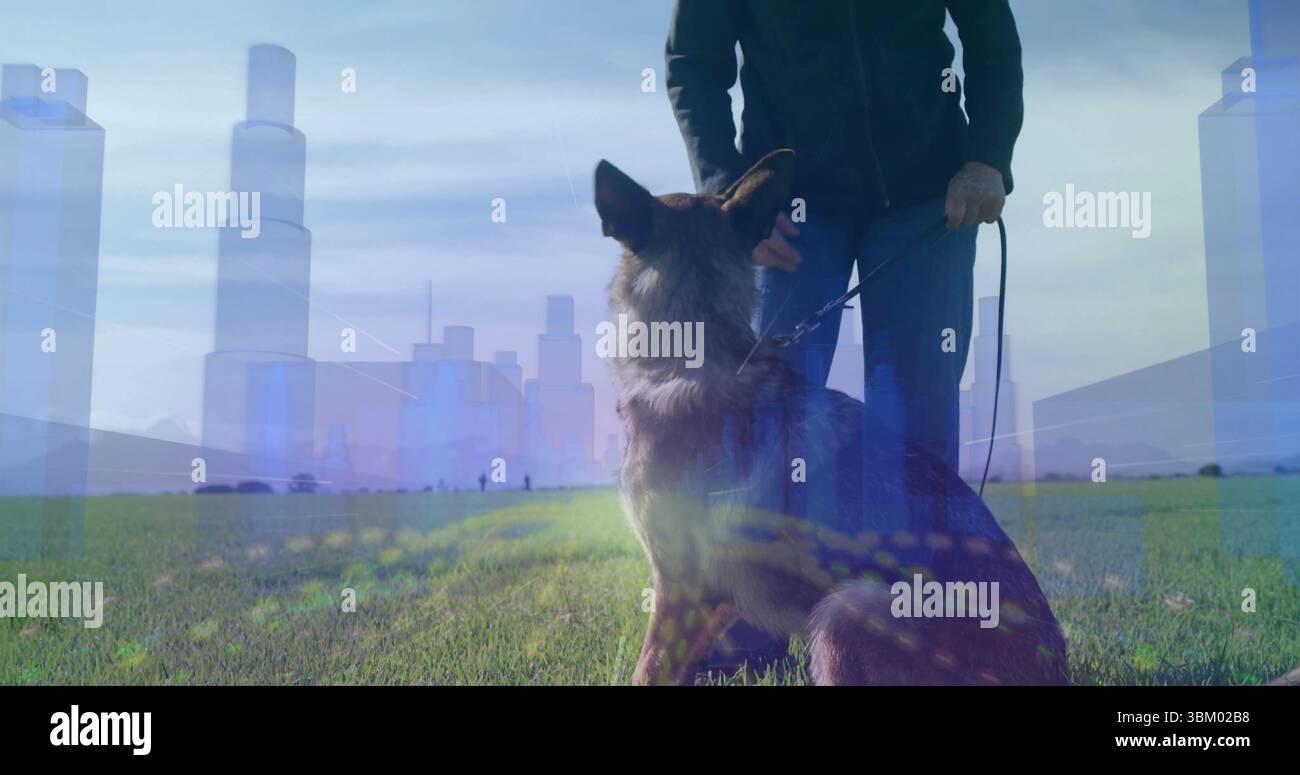 Tenendo il guinzaglio indossando jeans e giacca dietro il pastore tedesco su un campo erboso con lo skyline Foto Stock