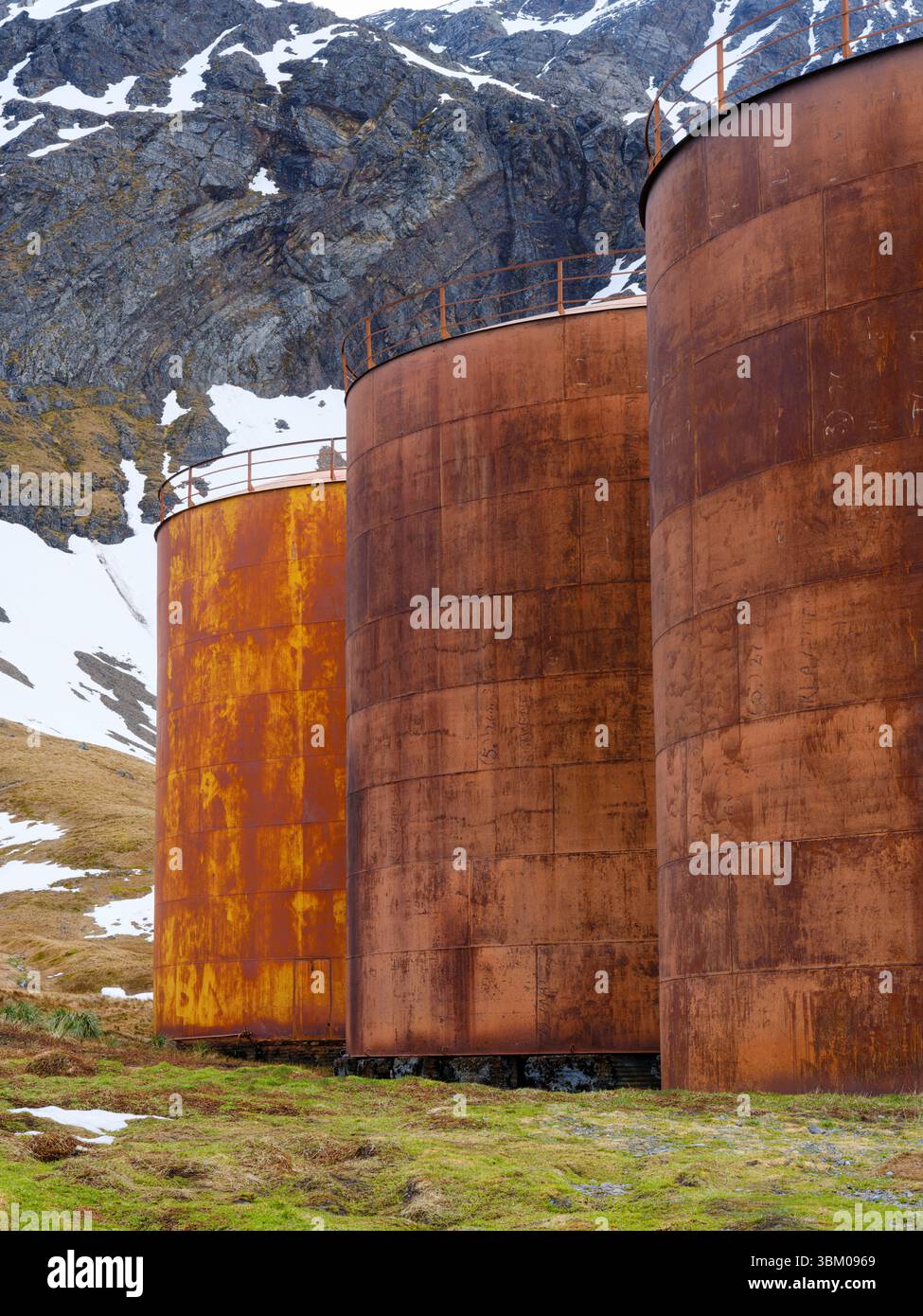 Serbatoi per olio di balena. Stazione baleniera di Grytviken. Antartide, Subantarctica, Georgia del Sud, Cumberland East Bay, primavera Foto Stock