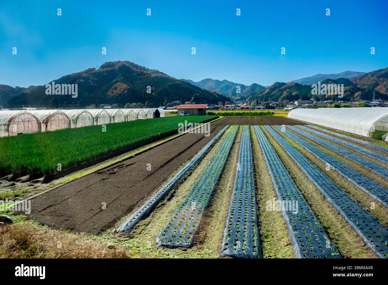 Fattoria agricola nella campagna del mare del Giappone Foto Stock