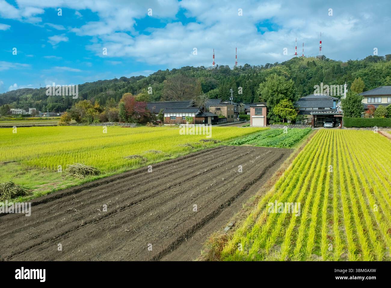 Fattoria agricola nella campagna del mare del Giappone Foto Stock