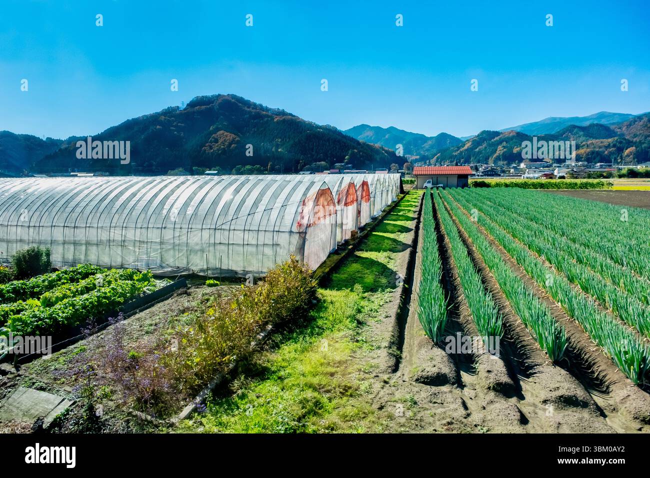 Fattoria agricola nella campagna del mare del Giappone Foto Stock