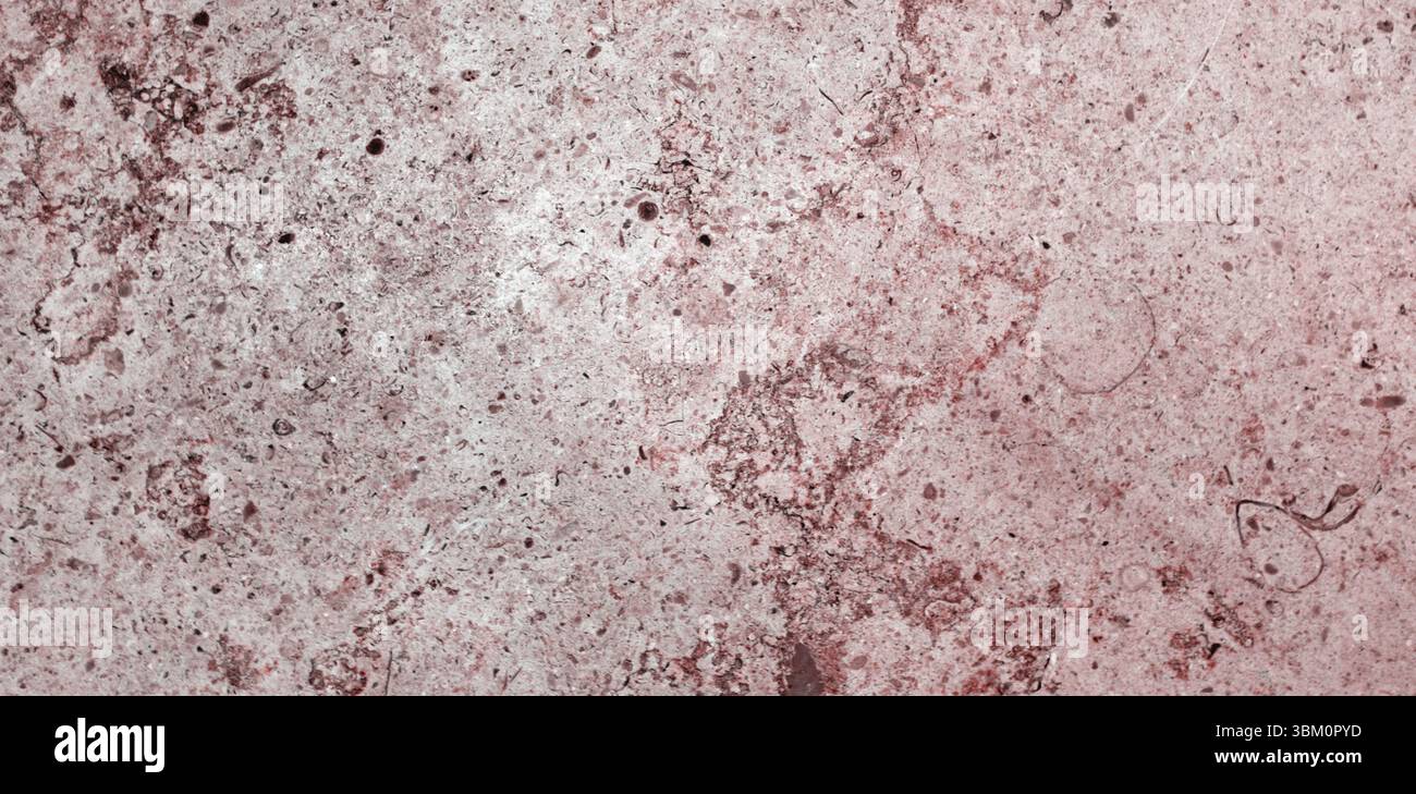 Mostra superfici in calcestruzzo macchiato ruvido con design piatto, con intagli, incrinature, scolorimento Foto Stock