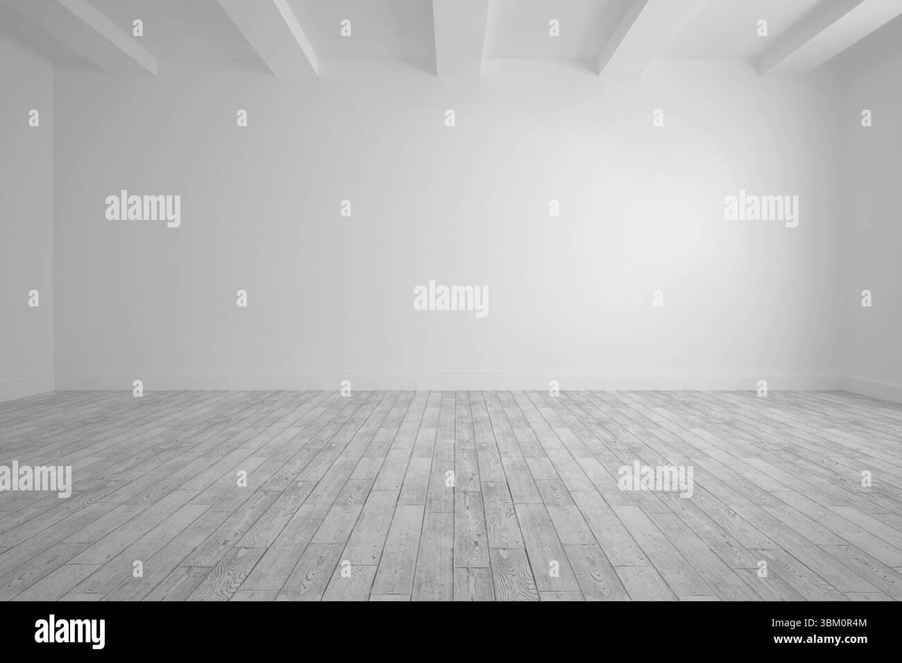 Camera grande con pareti bianche e parquet Foto Stock