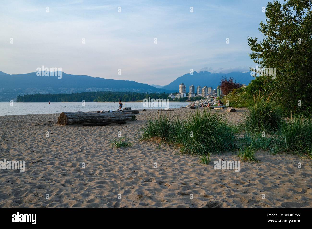 Hadden Dog Beach a Kitsilano con Stanley Park e il West End di Vancouver sullo sfondo. Foto Stock