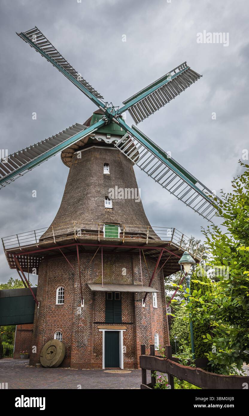 Peldemuehle Jemgum, mulino a vento tradizionale nella Frisia orientale, Jemgum, Frisia orientale, bassa Sassonia, Germania Foto Stock