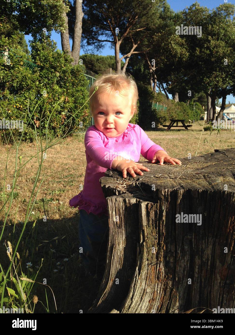 Il bambino con una camicia rosa esplora curiosamente un ceppo d'albero in un parco soleggiato. Circondato da alberi, il bambino mostra un'espressione gioiosa, godendo di una bellezza Foto Stock