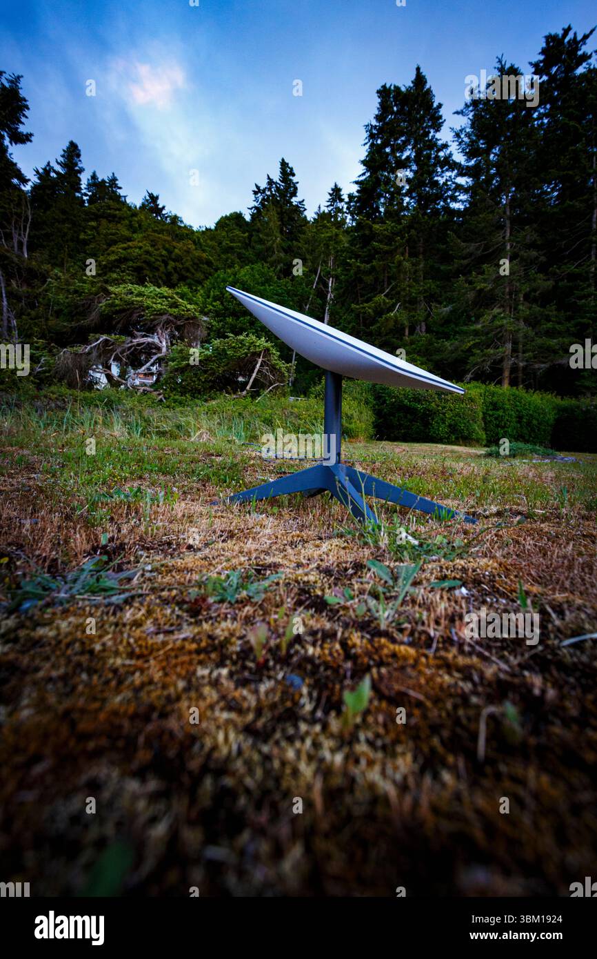 Piatto Starlink fuori dalla casa rurale, Port Angeles, Washington State, Stati Uniti. Foto Stock