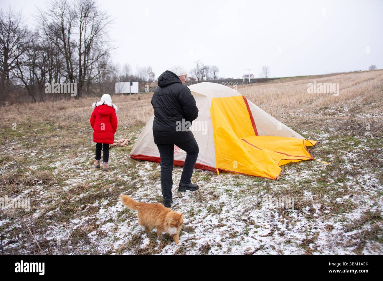Una famiglia affronta il freddo per lanciare una tenda luminosa in un campo aperto, con un bambino che aiuta e un cane giocoso che esplora le terre ghiacciate nelle vicinanze Foto Stock