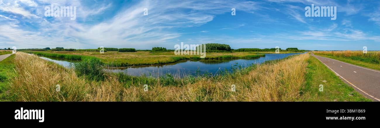 Panorama del paesaggio dell'area ricreativa Bentwoud, Paesi Bassi occidentali, sotto le alte nuvole di cirrus nel cielo blu Foto Stock