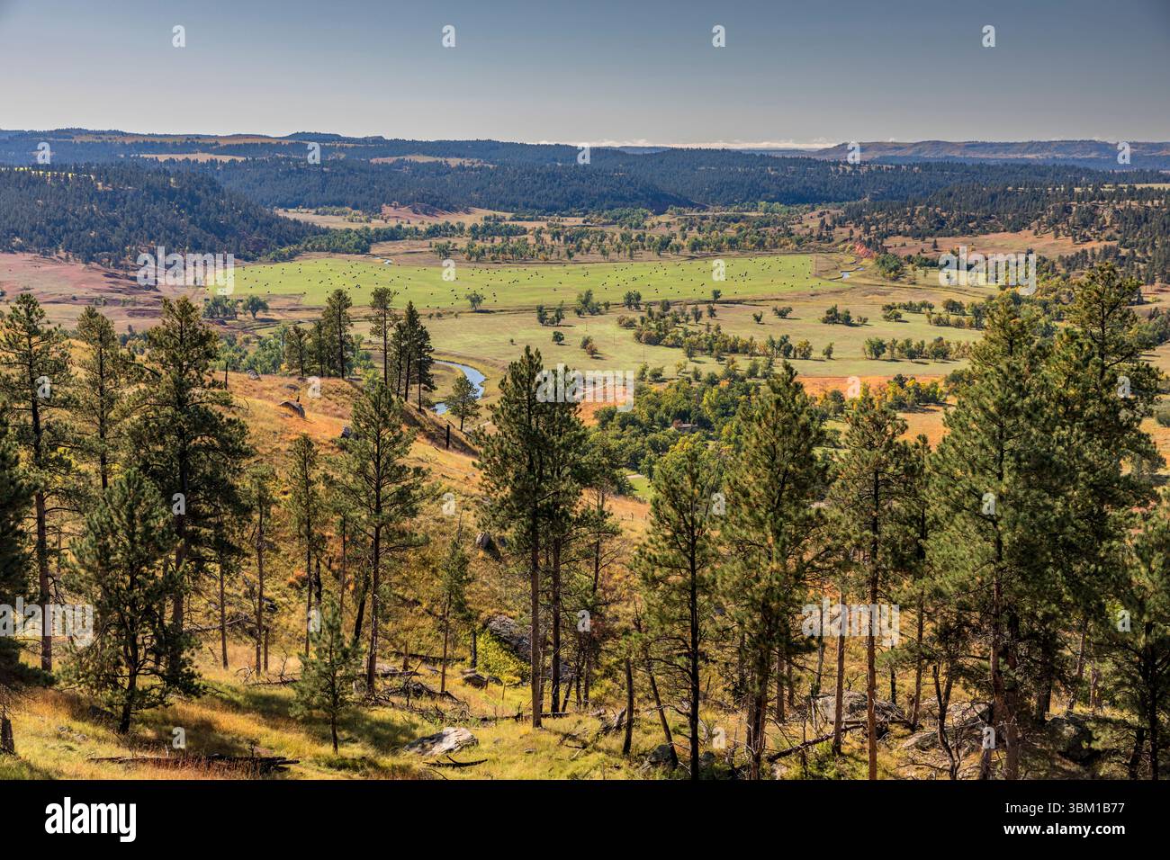 I terreni agricoli e i boschi del Wyoming circondano il devil's Tower National Monument. Foto Stock
